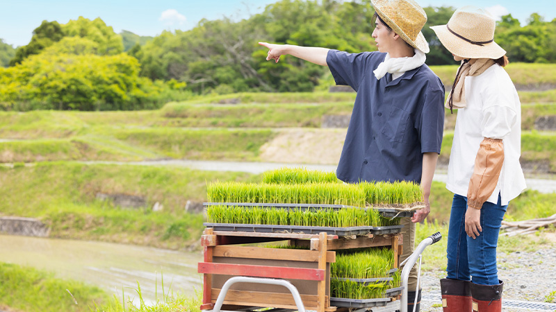 未経験からでも始めやすい環境
