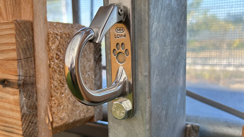 愛犬と一緒に楽しめる！