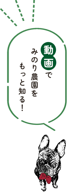 動画でみのり農園をもっとしる