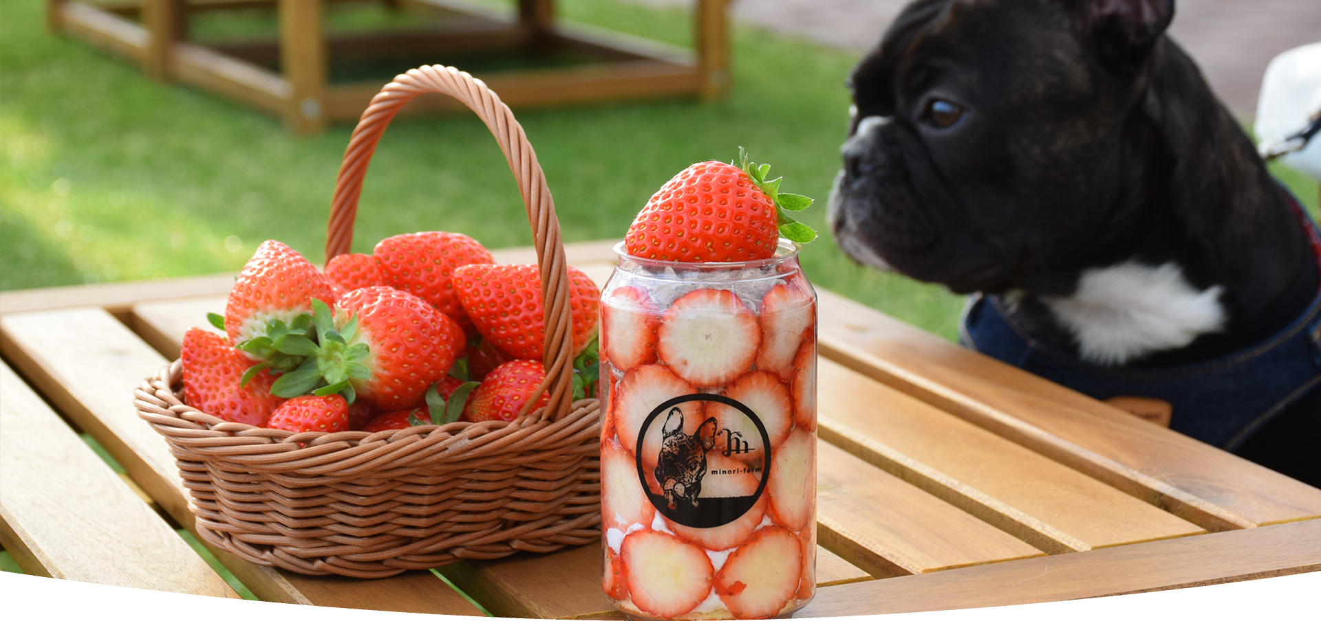 メインビジュアル