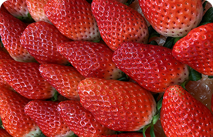 ネットでの販売