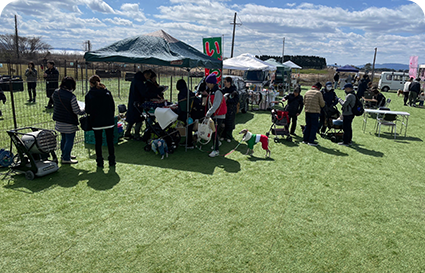 わんこいんデー＆マルシェ