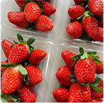 農家直送フード販売機